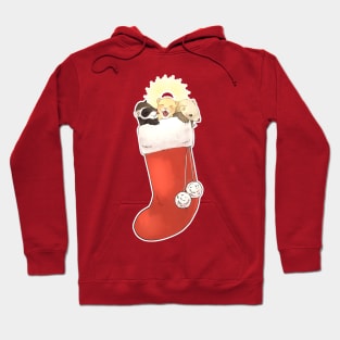 Ferret Christmas Hoodie